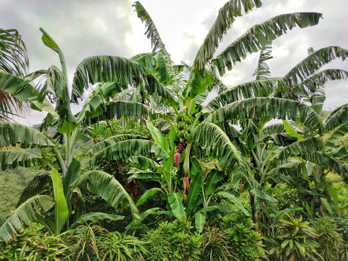 Finca Cuipo Буритака Экстерьер фото